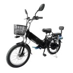 20-inch spoked wheel, fat tire, single electric goose head handlebar, cable tray, oil tray, rear-mounted Bluetooth speaker, lithium battery electric bicycle